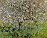 Apple Trees in Bloom at Giverny by Claude Monet